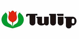 Tulip