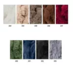 CARTA DE COLORES